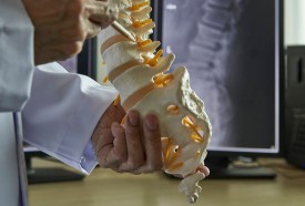 Get To Know The Movement System & Spinal Disorders